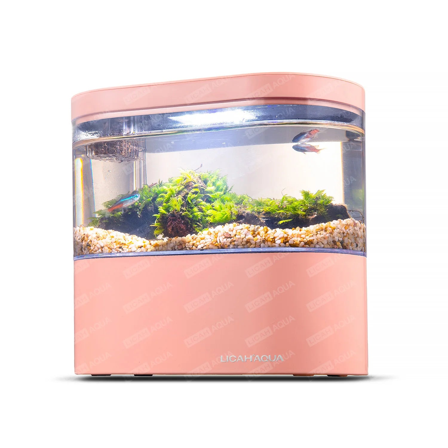 USB Mini Desktop Aquarium Built-In Water Pump / LED Light / Filter