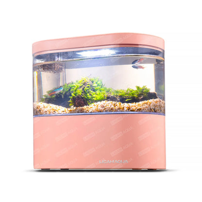 USB Mini Desktop Aquarium Built-In Water Pump / LED Light / Filter