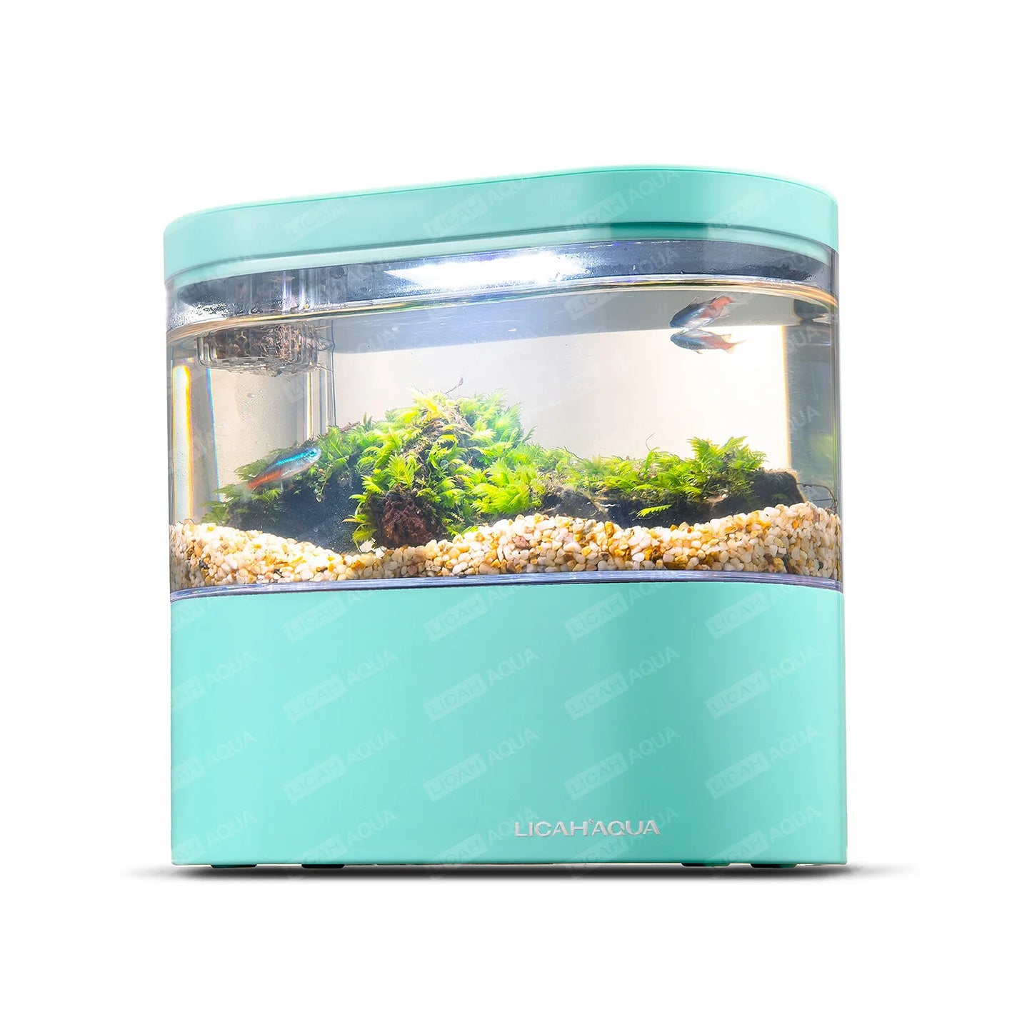 USB Mini Desktop Aquarium Built-In Water Pump / LED Light / Filter