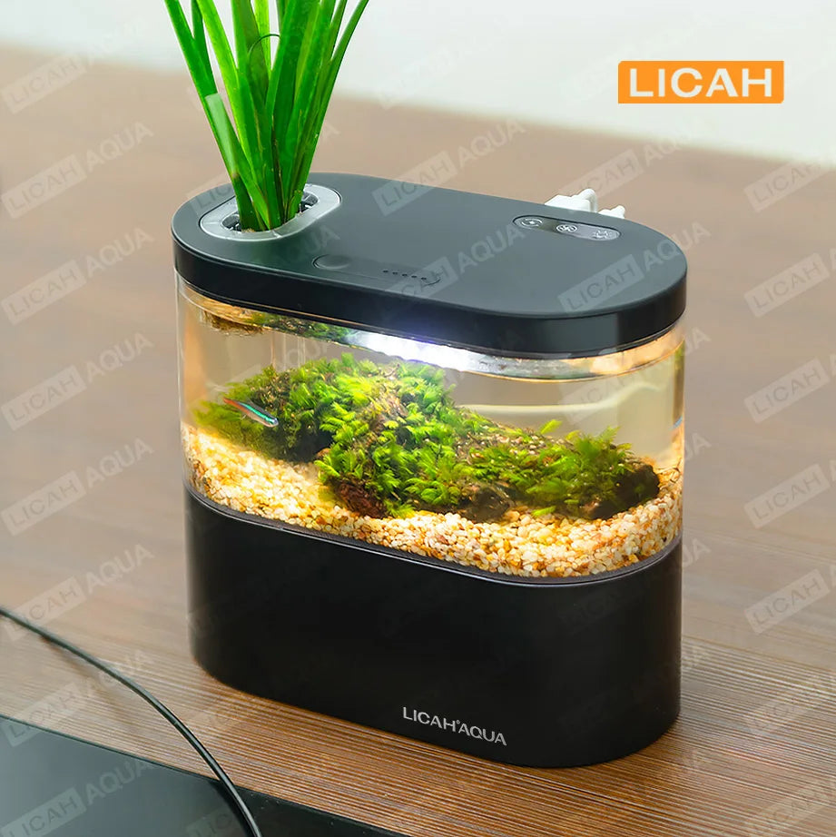 USB Mini Desktop Aquarium Built-In Water Pump / LED Light / Filter