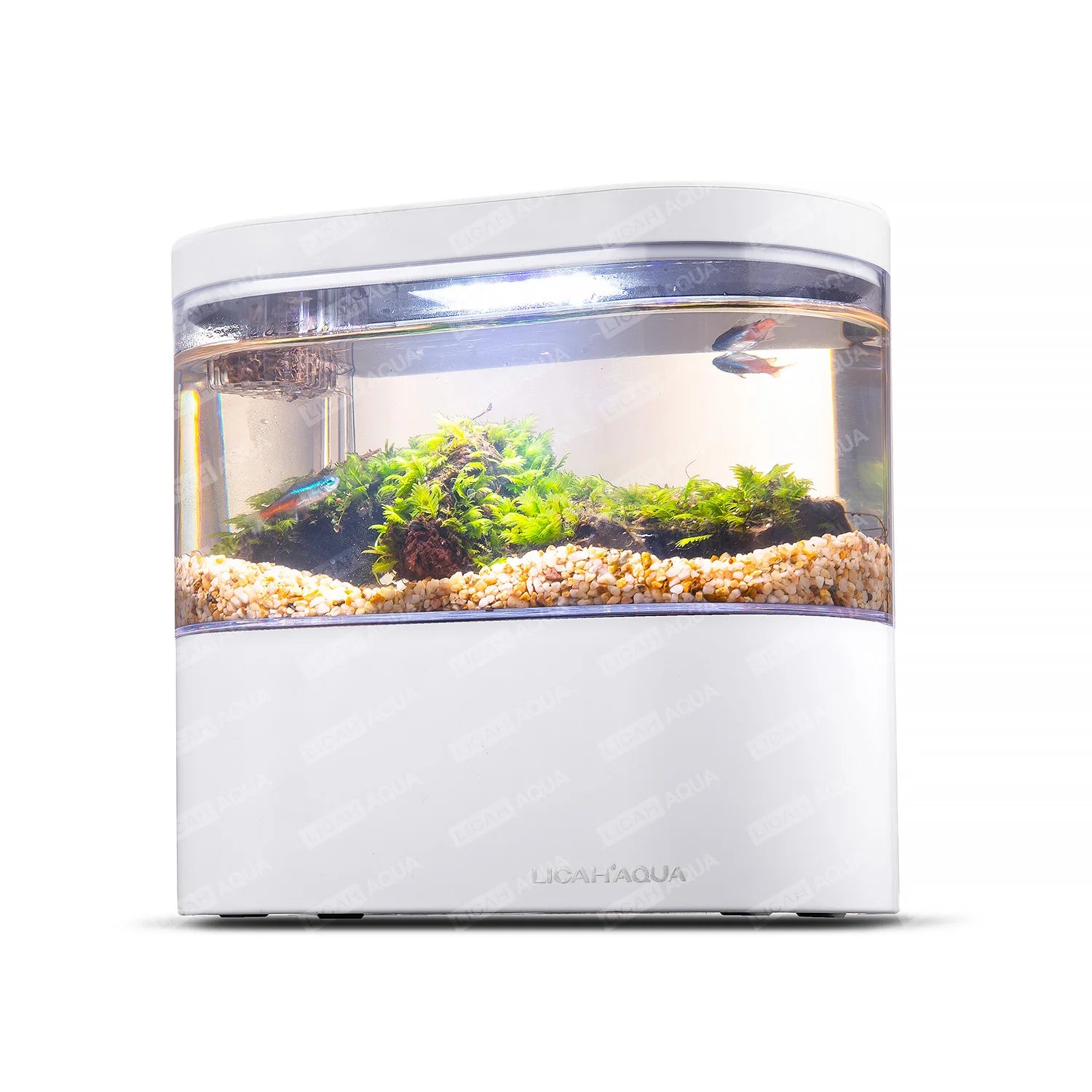 USB Mini Desktop Aquarium Built-In Water Pump / LED Light / Filter