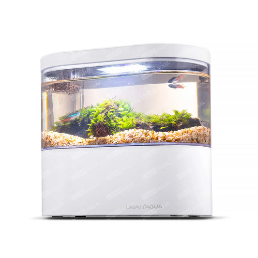 USB Mini Desktop Aquarium Built-In Water Pump / LED Light / Filter