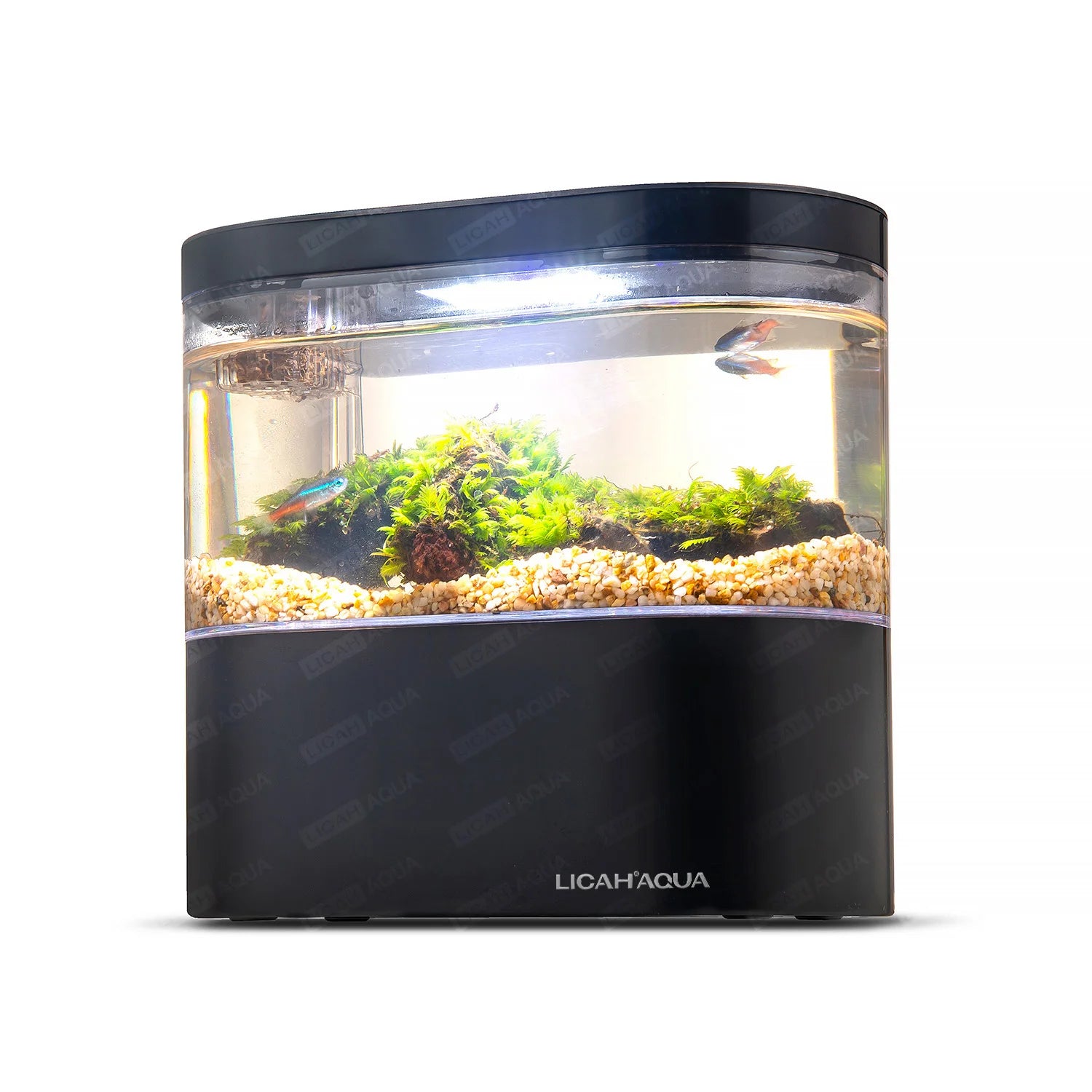 USB Mini Desktop Aquarium Built-In Water Pump / LED Light / Filter